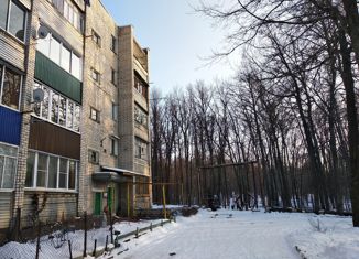 2-комнатная квартира на продажу, 51.8 м2, село Мирное, Кленовая улица, 2