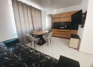 Продается 2-комнатная квартира, 46 м2, посёлок Западный, Олимпийская улица, 9Б