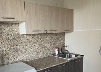 Продается 2-комнатная квартира, 38.5 м2, Москва, Косинская улица, 16к4, метро Выхино