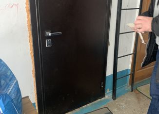 Продажа однокомнатной квартиры, 31 м2, Аша, улица Озимина, 9