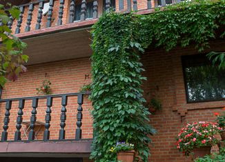 Продам дом, 326 м2, деревня Григорчиково, деревня Григорчиково, 67