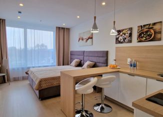 Сдается в аренду квартира студия, 28 м2, Москва, 1-я улица Леонова, 18, район Ростокино