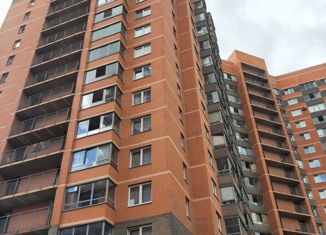 Продаю квартиру студию, 29.5 м2, посёлок Металлострой, Садовая улица, 8