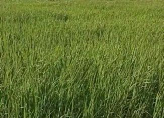 Продаю участок, 10 сот., садовые участки Прилучье