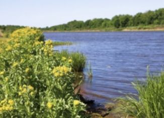 Продаю участок, 9.2 сот., деревня Старые Киешки, Окраинная улица, 6