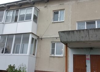 Продается 2-комнатная квартира, 43.5 м2, село Маминское, улица Чапаева, 1