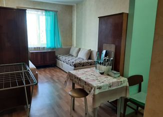 Продается 1-ком. квартира, 26 м2, Остров, улица Освобождения, 7А