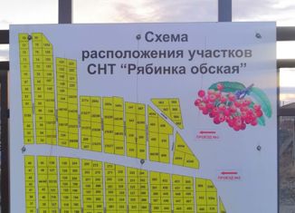 Продажа земельного участка, 12 сот., СНТ Рябинка Обская, Центральная улица