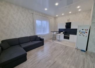 Дом на продажу, 60 м2, село Подстёпки, Советская улица, 3Б