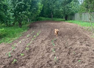 Земельный участок на продажу, 18.5 сот., деревня Мужево, деревня Мужево, 2