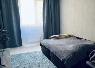 Продаю однокомнатную квартиру, 39 м2, Ставрополь, улица Чапаева, 4/1А, микрорайон Чапаевка