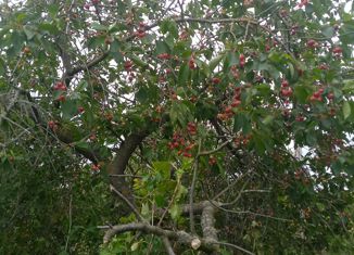 Земельный участок на продажу, 4.93 сот., садоводческое товарищество собственников недвижимости Чайка, Яблоневая улица