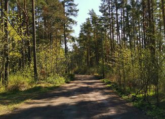 Продаю дом, 40 м2, поселок Вязы