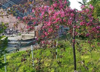 Продам дом, 245 м2, деревня Беляницы, Заречная улица