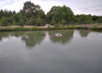 Продается участок, 24.7 сот., деревня Донино, Центральная улица, 23/3