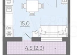 Продаю квартиру студию, 25.3 м2, Санкт-Петербург, метро Гражданский проспект, Муринская дорога