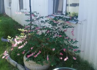 Дом на продажу, 90 м2, село Ровное, Центральная улица, 17