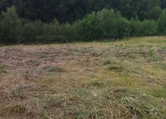 Земельный участок на продажу, 10.38 сот., деревня Елгино