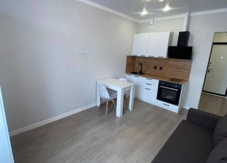 Продам квартиру студию, 19.5 м2, Ростов-на-Дону, улица Нансена, 83с2, ЖК Скай Парк