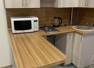 Продам квартиру студию, 19 м2, Нижний Новгород, улица Бориса Панина, 19, улица Бориса Панина