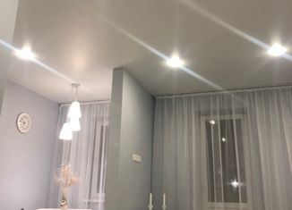 Сдам квартиру студию, 26.3 м2, аул Новая Адыгея, улица Тургеневское шоссе, ЖК Дарград