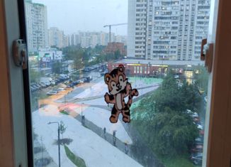 Двухкомнатная квартира на продажу, 61 м2, Москва, Братиславская улица, 19к1, метро Братиславская