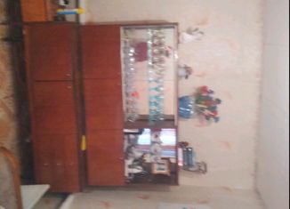 Продается 2-комнатная квартира, 25.8 м2, рабочий посёлок Дальнее Константиново, Восточная улица, 48