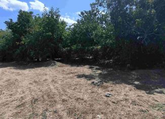 Продаю участок, 785 сот., Армавир, СТ Заря, 23