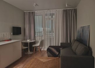 Продажа квартиры студии, 23.7 м2, Санкт-Петербург, Ипподромный переулок, 1к1, Ипподромный переулок