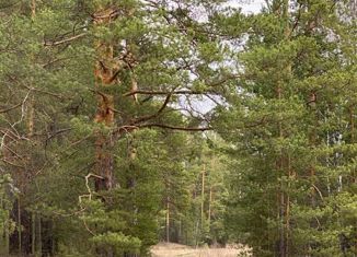 Участок на продажу, 14 сот., городской округ Миасс