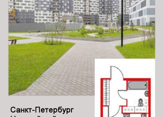 Продается квартира студия, 23.4 м2, Санкт-Петербург, Русановская улица, 20к3, муниципальный округ Народный