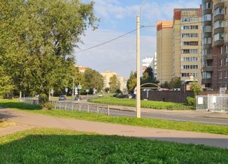 Продаю 1-ком. квартиру, 30.6 м2, Санкт-Петербург, Авангардная улица, 45к2, Красносельский район