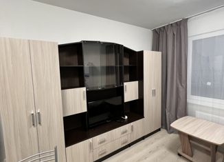 Квартира на продажу студия, 19.6 м2, посёлок Мичуринский, Майская улица, 70