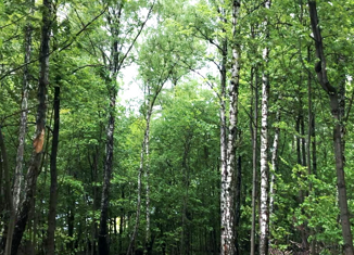 Продам земельный участок, 4.55 сот., деревня Малое Видное, Садовая улица