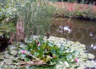 Дом на продажу, 50 м2, посёлок Лазурный