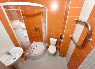 Продается квартира студия, 22.1 м2, посёлок Парголово, Толубеевский проезд, 8к2