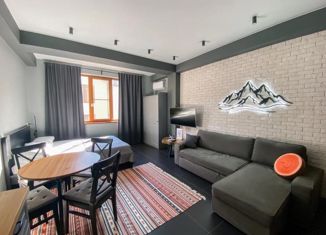 Продается 1-ком. квартира, 35 м2, посёлок городского типа Красная Поляна, улица Турчинского, 85