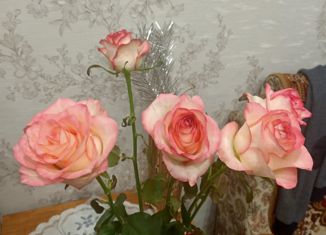 2-комнатная квартира в аренду, 44 м2, Набережные Челны, Казанский проспект, 16