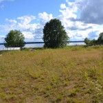 Продам земельный участок, 15 сот., деревня Большое Ронское