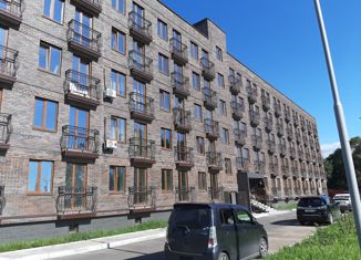 Продажа квартиры студии, 28.7 м2, Уссурийск, проспект Блюхера, 87