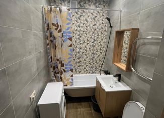 Сдача в аренду квартиры студии, 30 м2, Новосибирск, бульвар Молодёжи, 15, Советский район