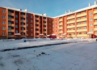 Продажа квартиры студии, 26 м2, Еманжелинск, улица Титова, 7А