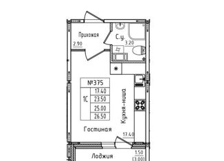 Продается квартира студия, 25 м2, городской посёлок Новоселье, Центральная улица, 20