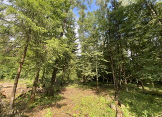 Продается участок, 9 сот., деревня Сивково, 8-й Центральный проезд, 717