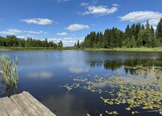 Земельный участок на продажу, 270 сот., село Поречье