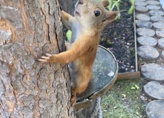 Продается дом, 68 м2, садовое товарищество Оптимист