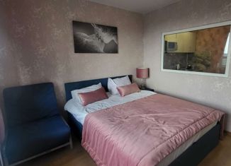 Квартира на продажу студия, 28.5 м2, Кировск, бульвар Партизанской Славы, 1