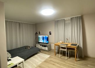 Продаю однокомнатную квартиру, 31 м2, Екатеринбург, улица Избирателей, 28, улица Избирателей