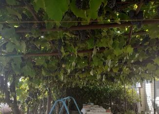 Продаю дом, 171 м2, село Веселово, Пролетарская улица, 26