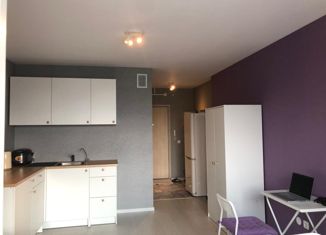 Продажа квартиры студии, 25 м2, Мурино, Новая улица, 13к2, ЖК Новое Мурино